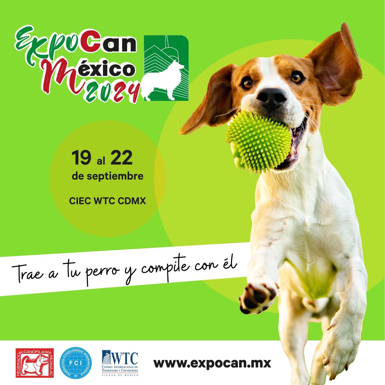 ExpoCan CDMX El evento más grande para tus lomitos